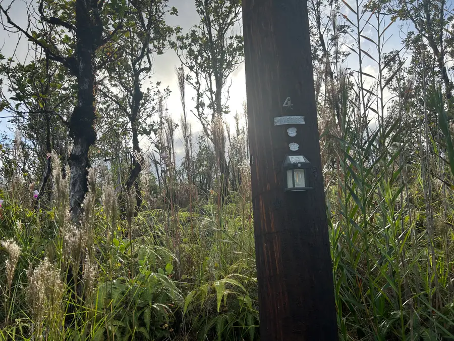 Mailenani Rd, Volcano, HI 96785 - Image #2