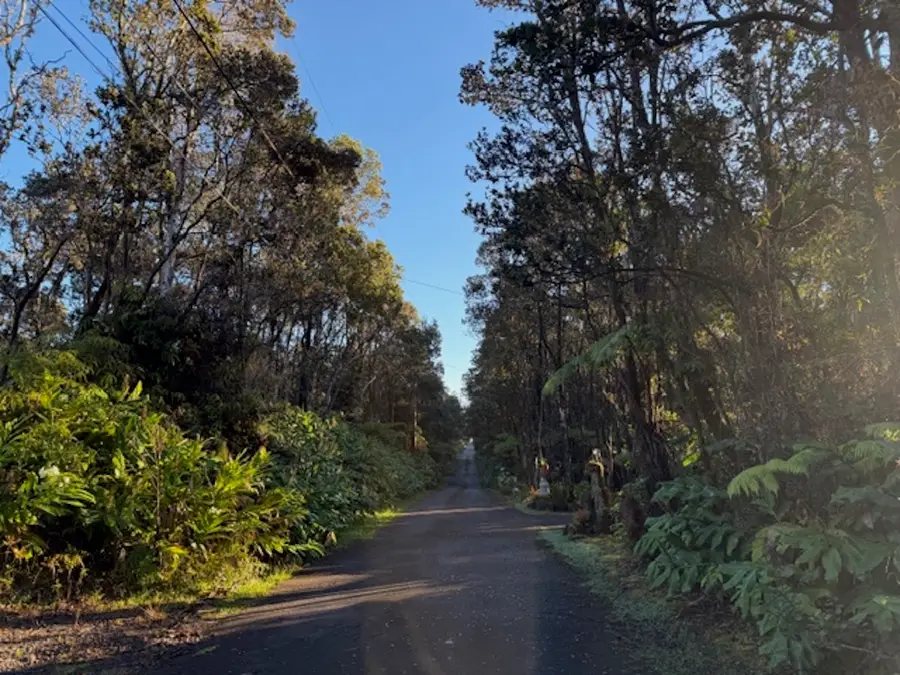 10th St, Volcano, HI 96785 - Image #3