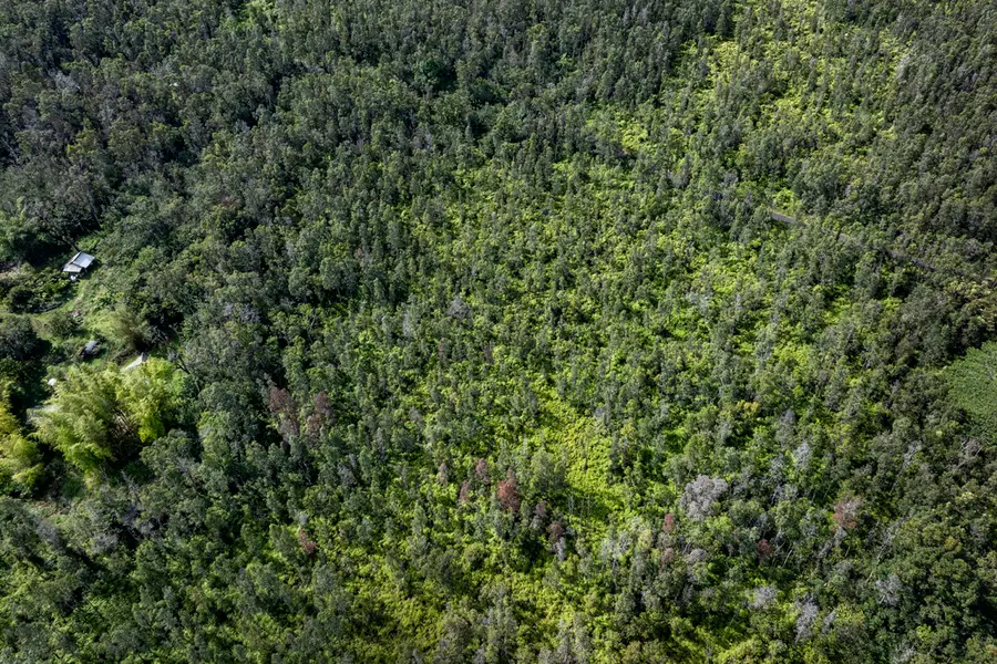 12-4235 Upper Puna Road, Pahoa, HI 96778 - Image #3