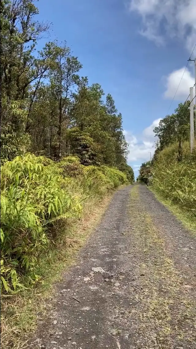 Kopaa St, Mountain View, HI 96771 - Image #1