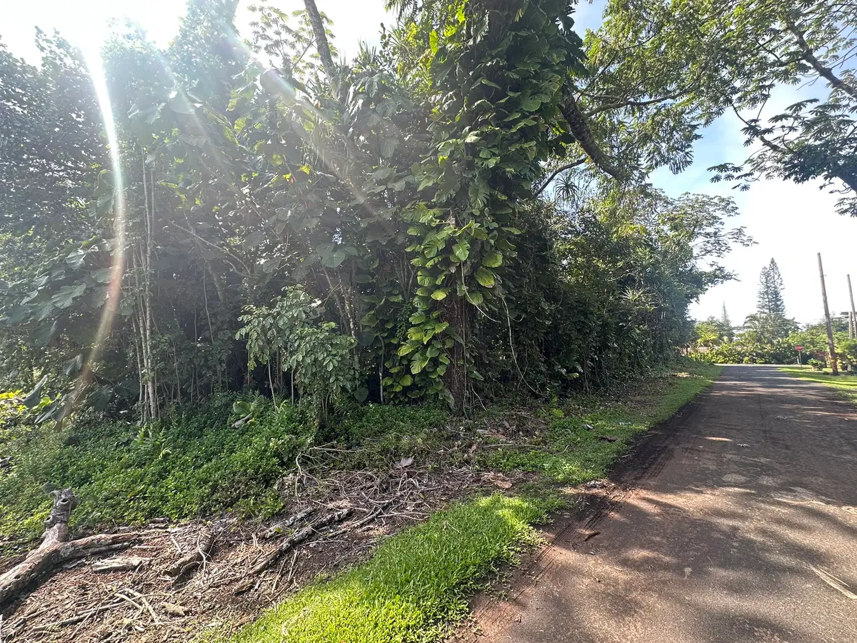 15-2716 Opelu St, Pahoa, HI 96778 - Image #1