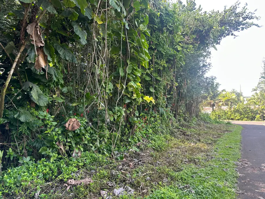 15-2714 Opelu St, Pahoa, HI 96778 - Image #2