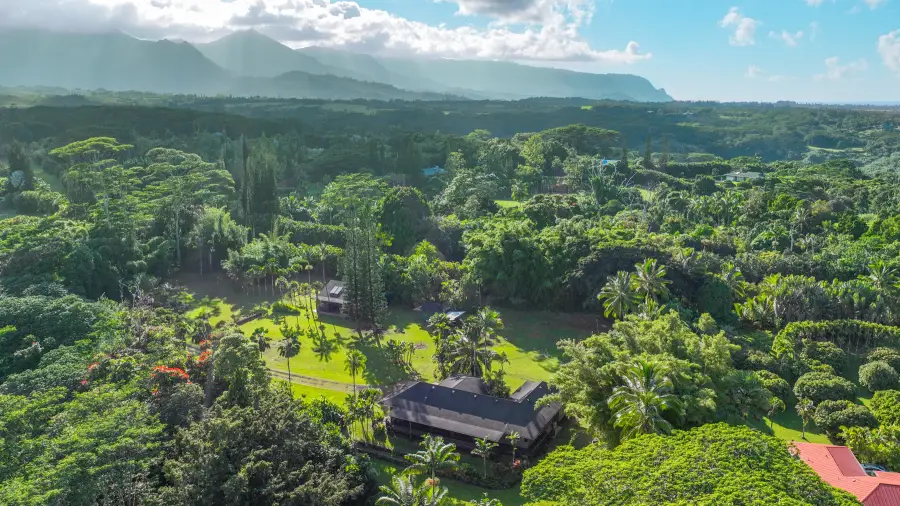 4631 Kahiliholo Rd, Kilauea, HI 96754 - Image #2