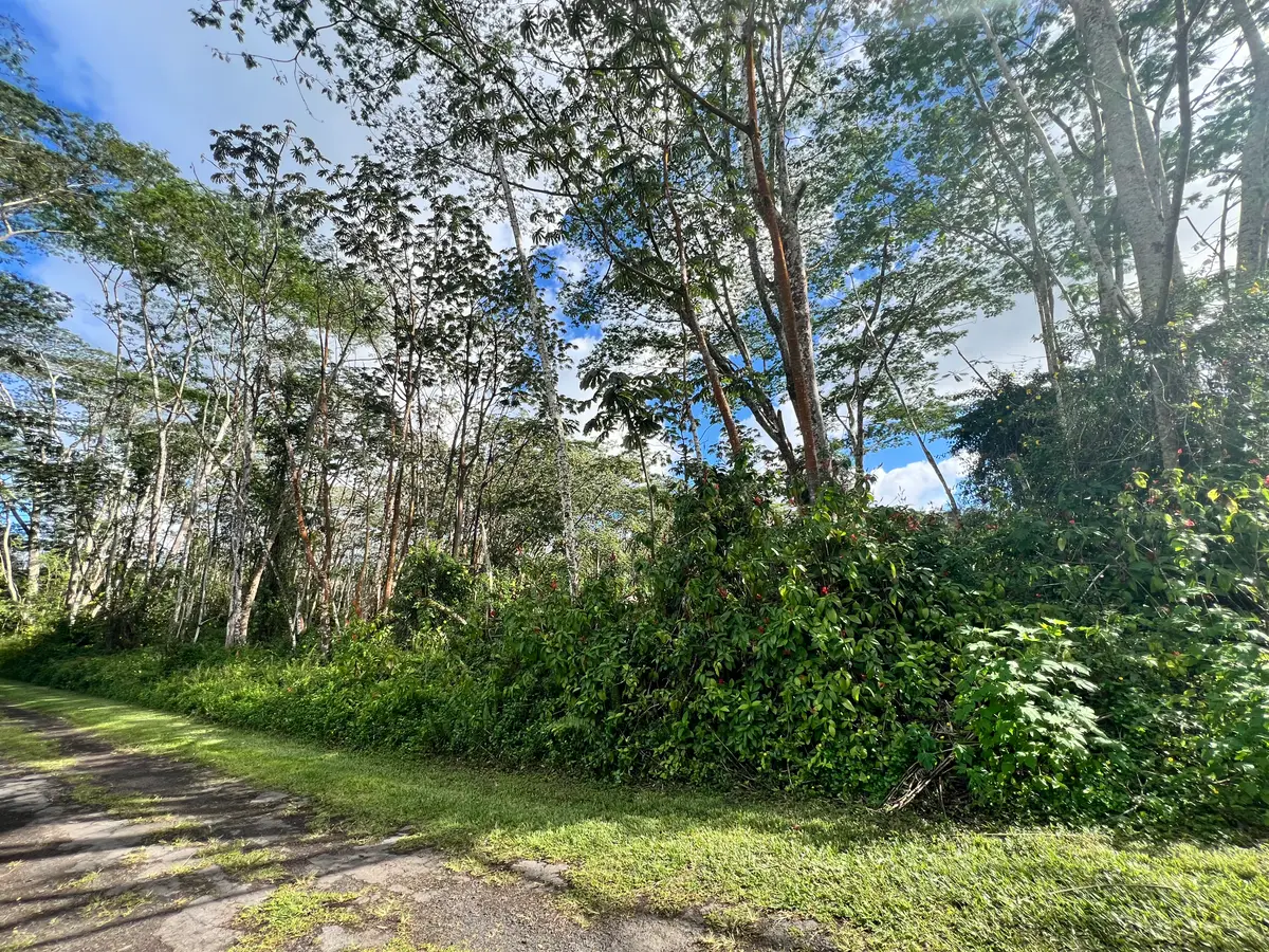 Plumeria Rd, Pahoa, HI 96778 - #1