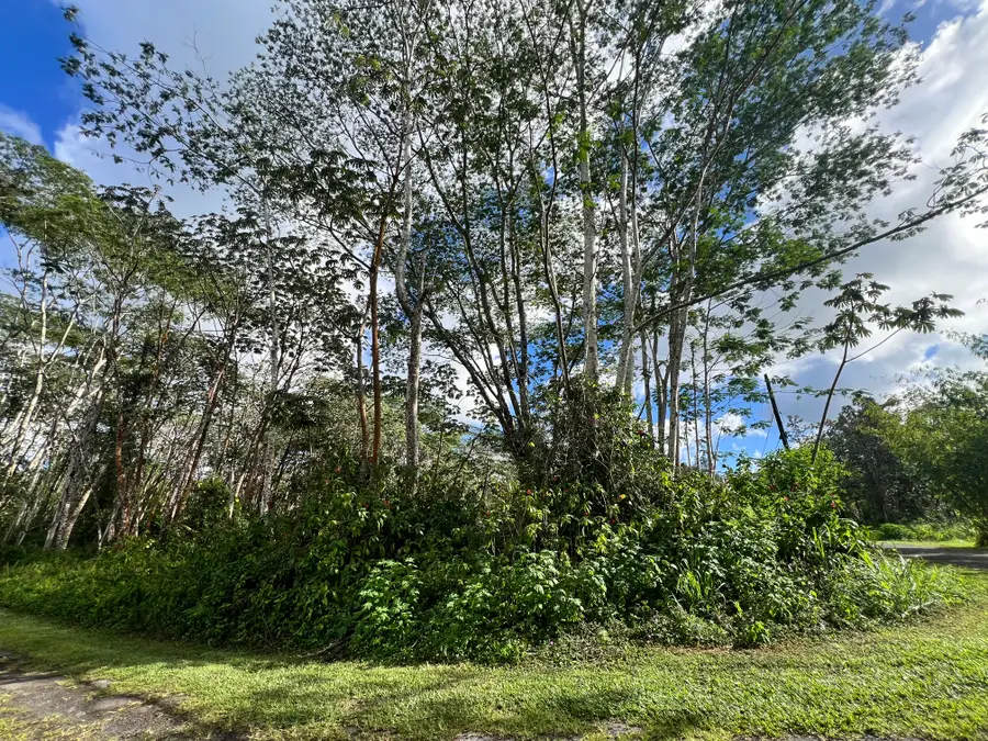 Plumeria Rd, Pahoa, HI 96778 - #2
