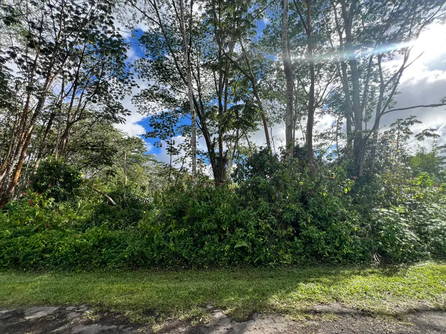Plumeria Rd, Pahoa, HI 96778 - #3