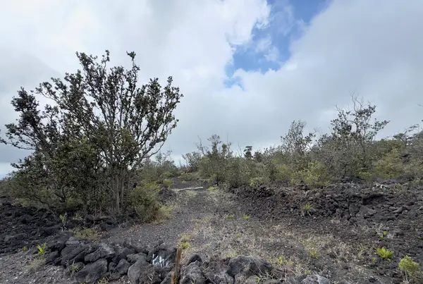 Reef Cir Makai, Ocean View, HI 96737