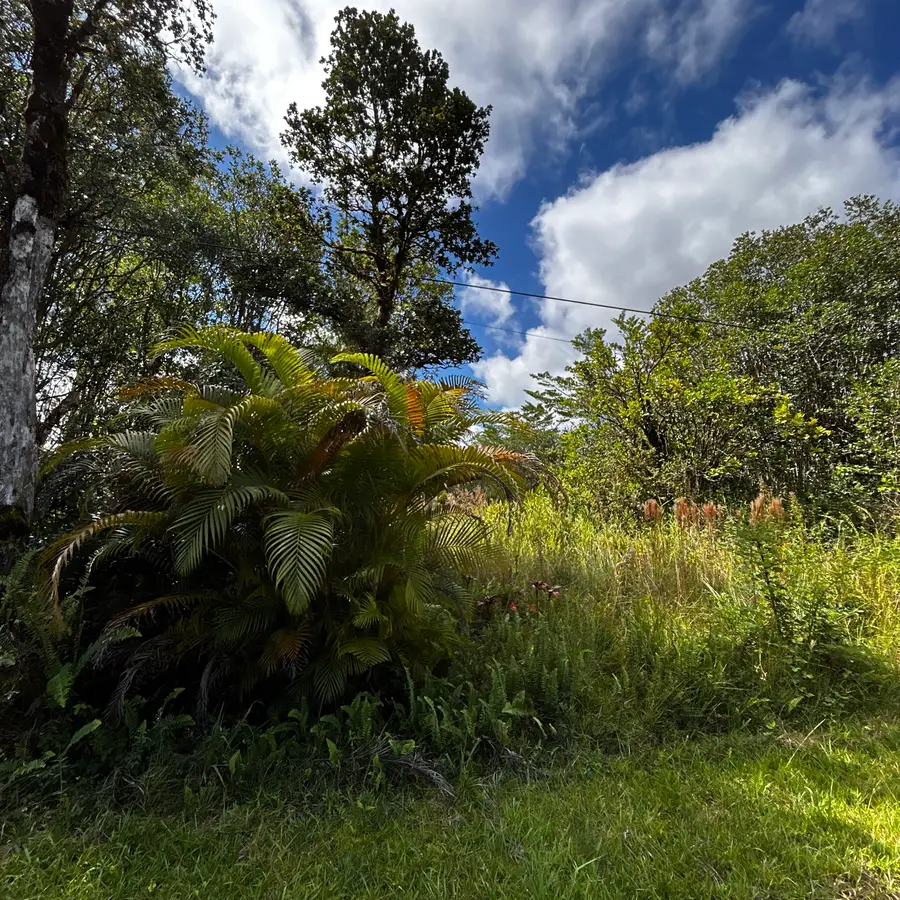 11-2669 Ohia Ave, Volcano, HI 96785 - Image #2