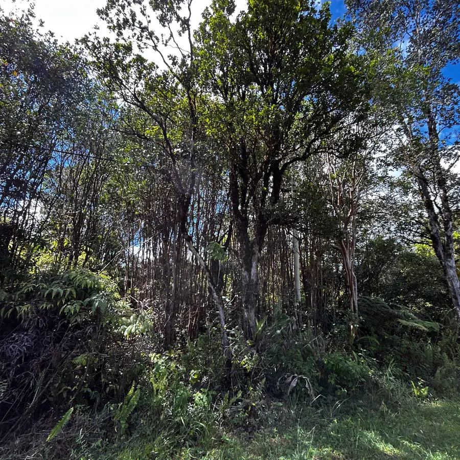 11-2669 Ohia Ave, Volcano, HI 96785 - Image #3