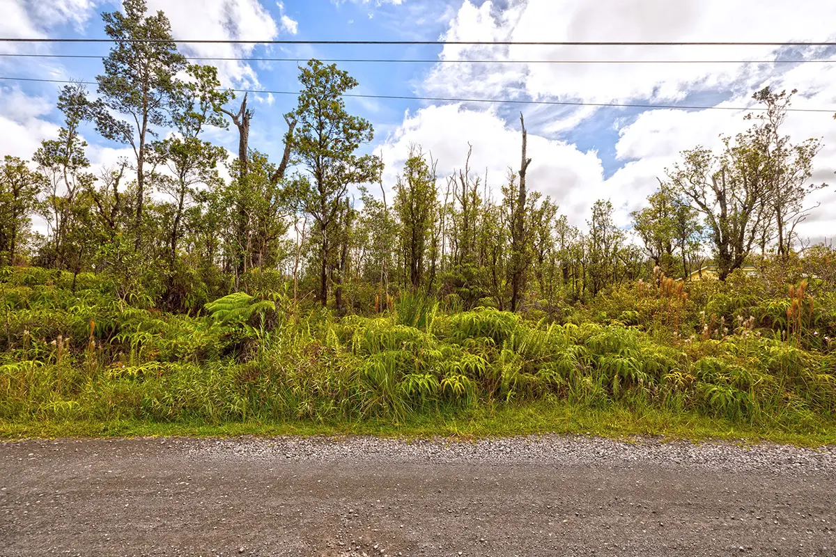 Ohialani Rd, Volcano, HI 96785 - Image #1