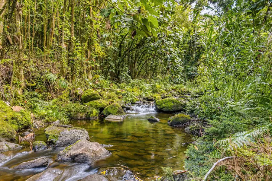 Address Withheld By Seller, Honomu, HI 96728 - Image #2