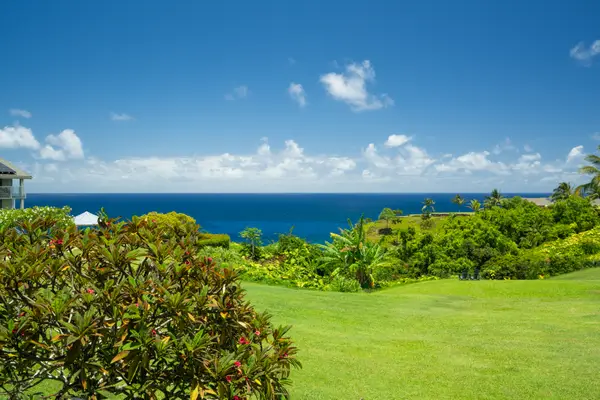 3811 Edward Rd #7201, Princeville, HI 96722