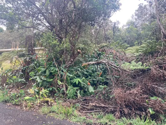 19-3950 Hoonanea St, Volcano, HI 96785 - Image #3