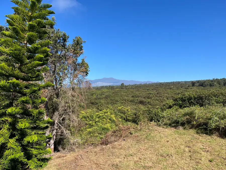 5 Puu Lehua Drive, Kealakekua, HI 96750 - #3