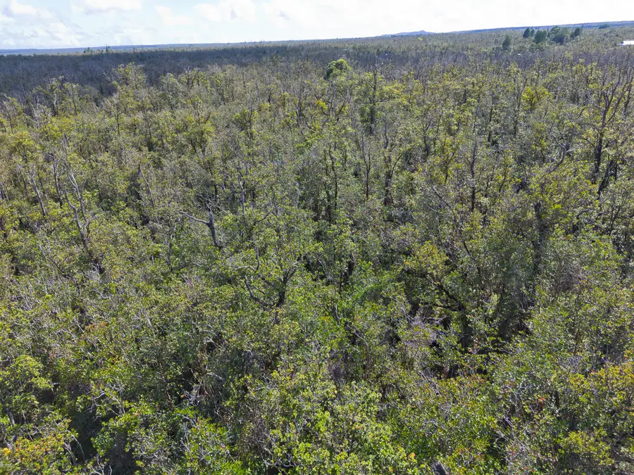 Omeka Rd, Fern Forest, HI 96785 - Image #3