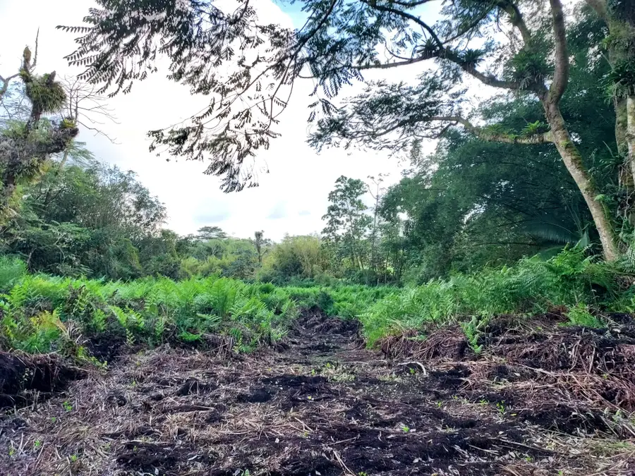 Ala Loop, Mountain View, HI 96771 - Image #2