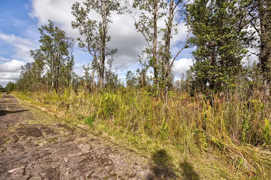 Road 4 (io Kea), Hawaiian Acres, HI 96760 - Image #2