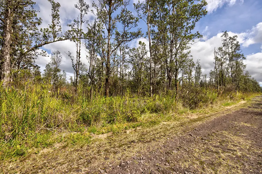 Road 4 (io Kea), Hawaiian Acres, HI 96760 - Image #3