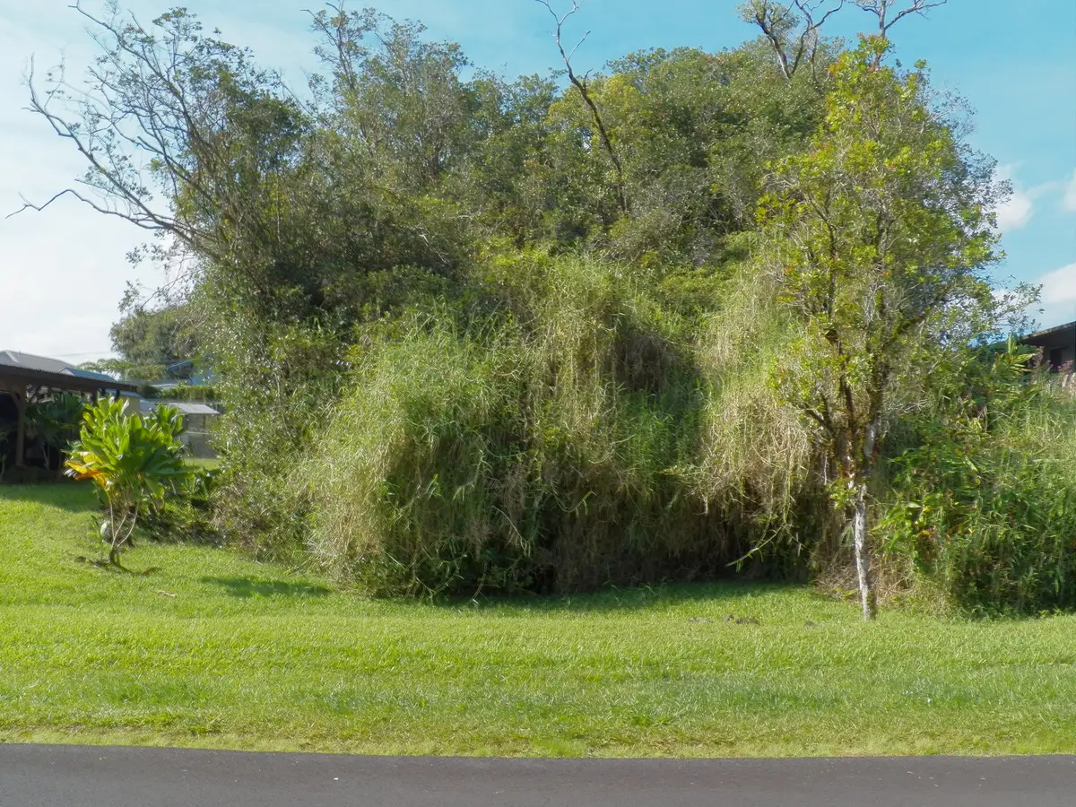 Kolika Rd, Mountain View, HI 96771 - Image #1