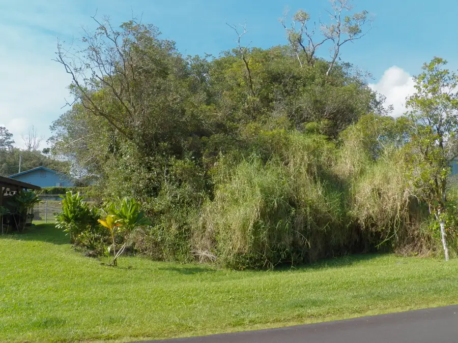 Kolika Rd, Mountain View, HI 96771 - Image #2