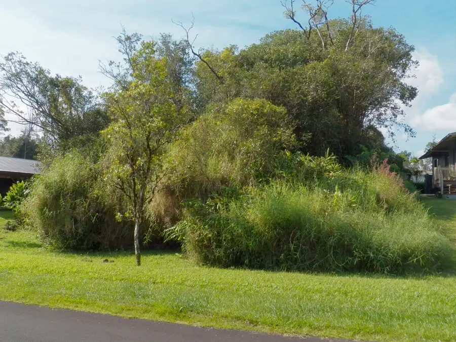 Kolika Rd, Mountain View, HI 96771 - Image #3