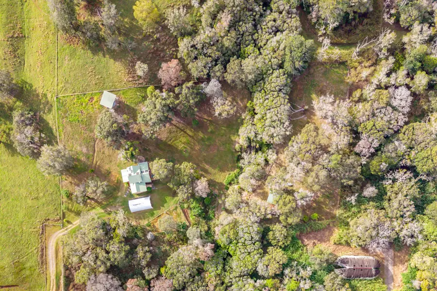 43-752 Antone De Luz Rd, Paauilo, HI 96776 - Image #2