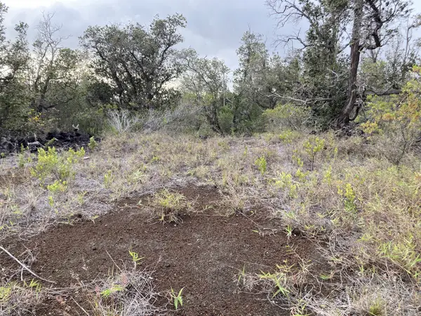 92-8684 Lehua Ln, Ocean View, HI 96737