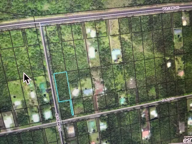 Pa Alii Rd, Volcano, HI 96785 - Image #1