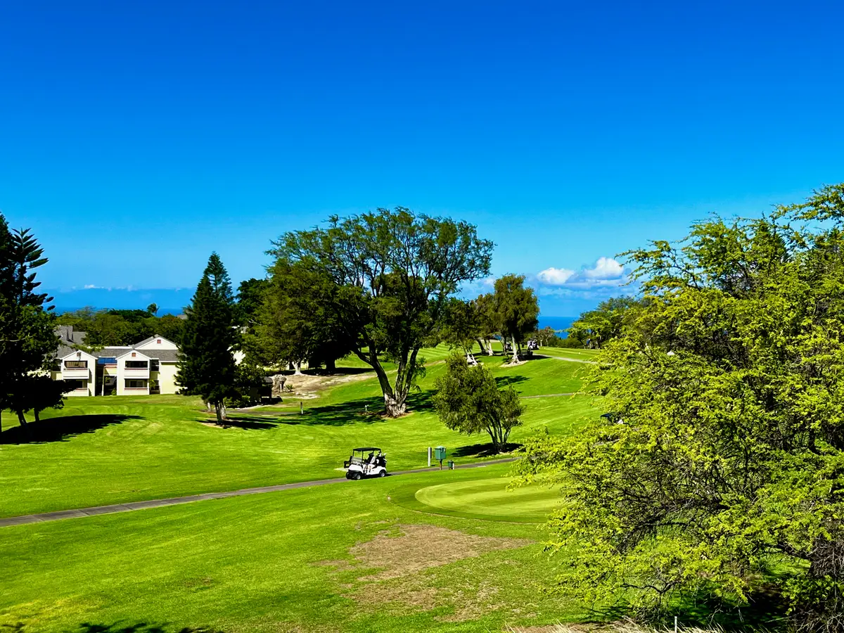 68-3868 Paniolo Ave #C201, Waikoloa, HI 96738 - Image #1