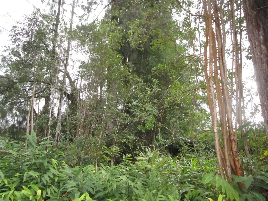 18-4101 Hulu St, Volcano, HI 96785 - Image #2