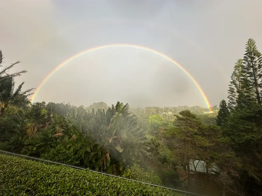 4685 Kuli Rd, Kalaheo, HI 96741 - Image #2