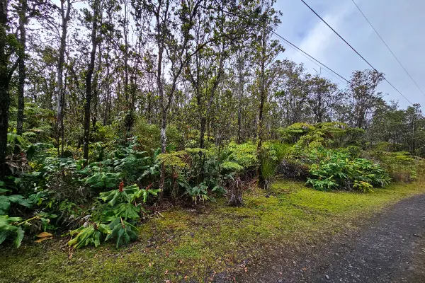 Kilihune Rd, Volcano, HI 96785