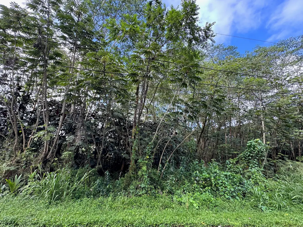 Address Withheld By Seller, Pahoa, HI 96778 - Image #1