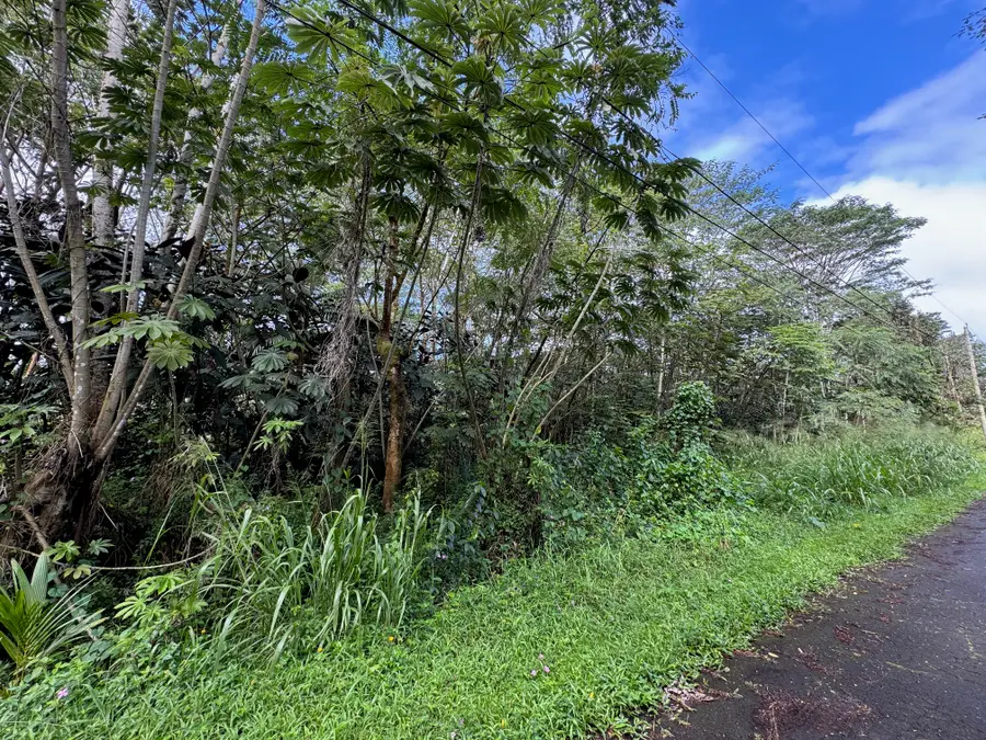 Address Withheld By Seller, Pahoa, HI 96778 - Image #3