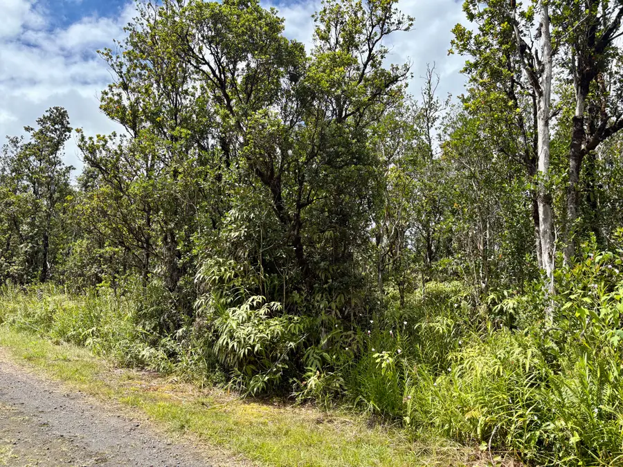 Alapua St, Mountain View, HI 96771 - Image #2