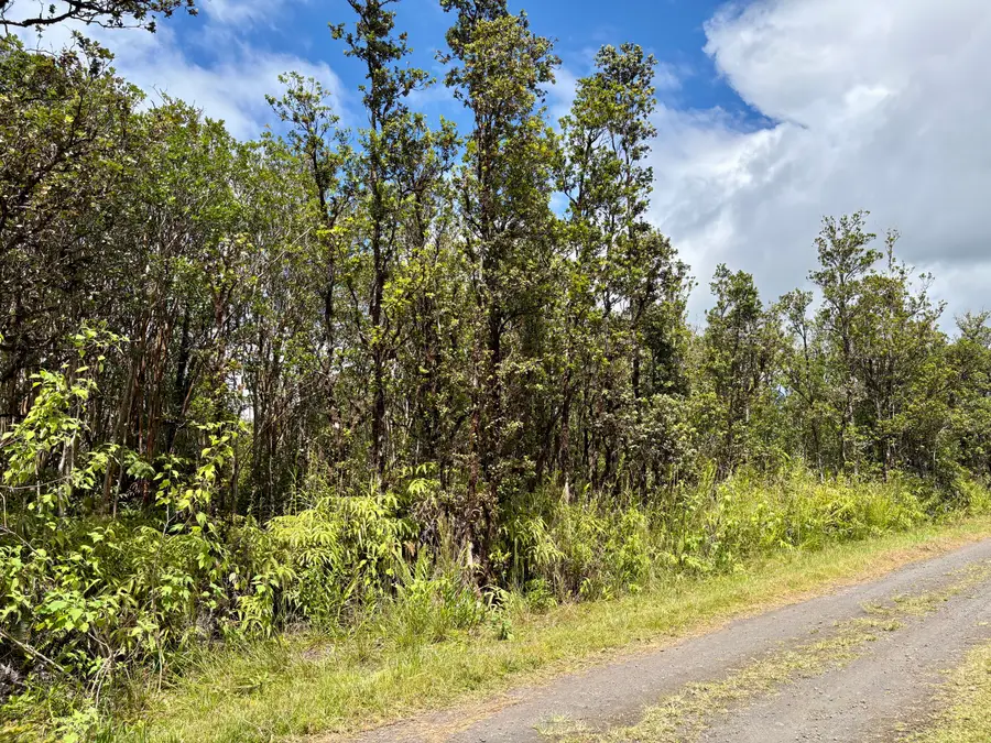 Alapua St, Mountain View, HI 96771 - Image #3