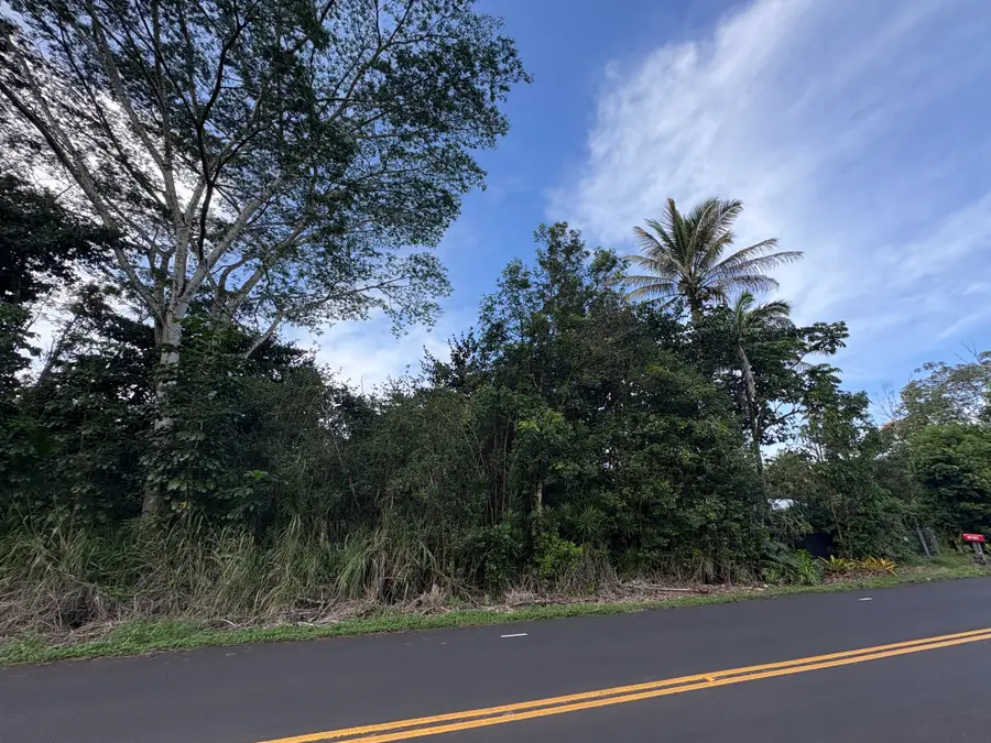Kahakai Blvd, Pahoa, HI 96778 - #3