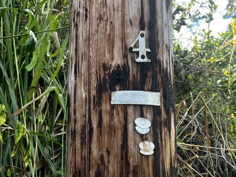 25th Ave, Keaau, HI 96749 - Image #3