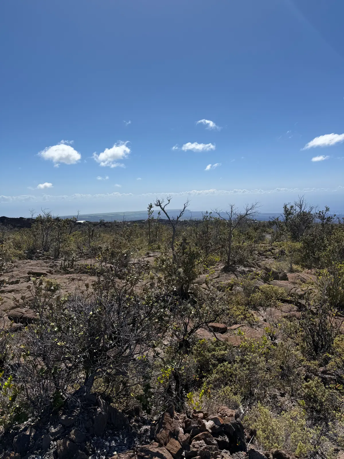 92-8520 Iwalani Circle Makai, Ocean View, HI 96737 - Image #1