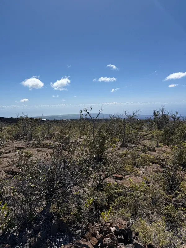 92-8520 Iwalani Circle Makai, Ocean View, HI 96737