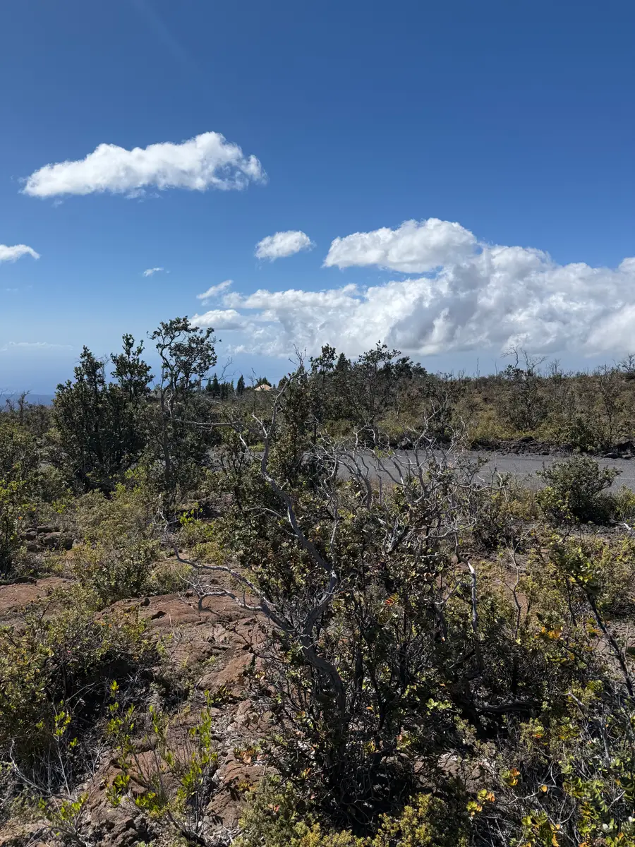 92-8520 Iwalani Circle Makai, Ocean View, HI 96737 - Image #3