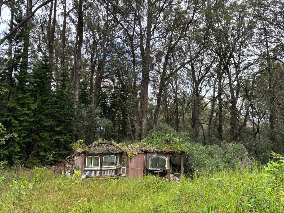 46-3989 Kapuna Rd, Honokaa, HI 96727 - Image #1