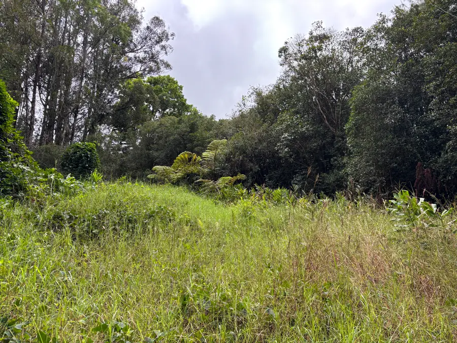 46-3989 Kapuna Rd, Honokaa, HI 96727 - Image #2