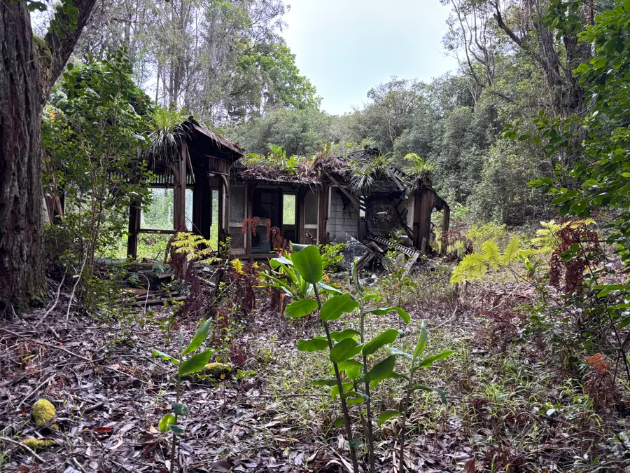 46-3989 Kapuna Rd, Honokaa, HI 96727 - Image #3