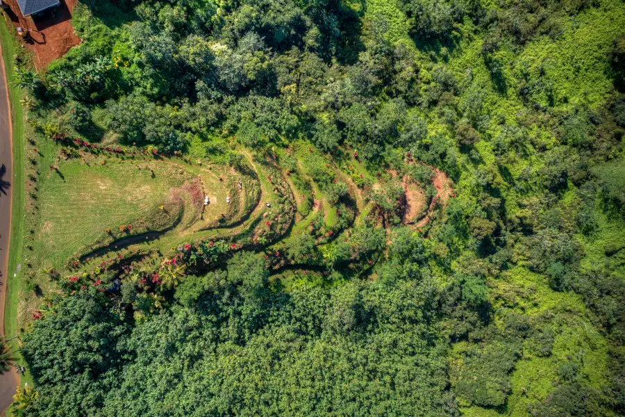 Halaulani Pl, Kilauea, HI 96754 - Image #2