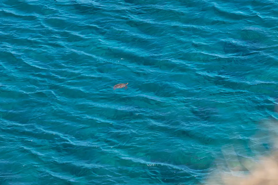 56-2891 Haleakala View Pl, Hawi, HI 96719 - Image #3