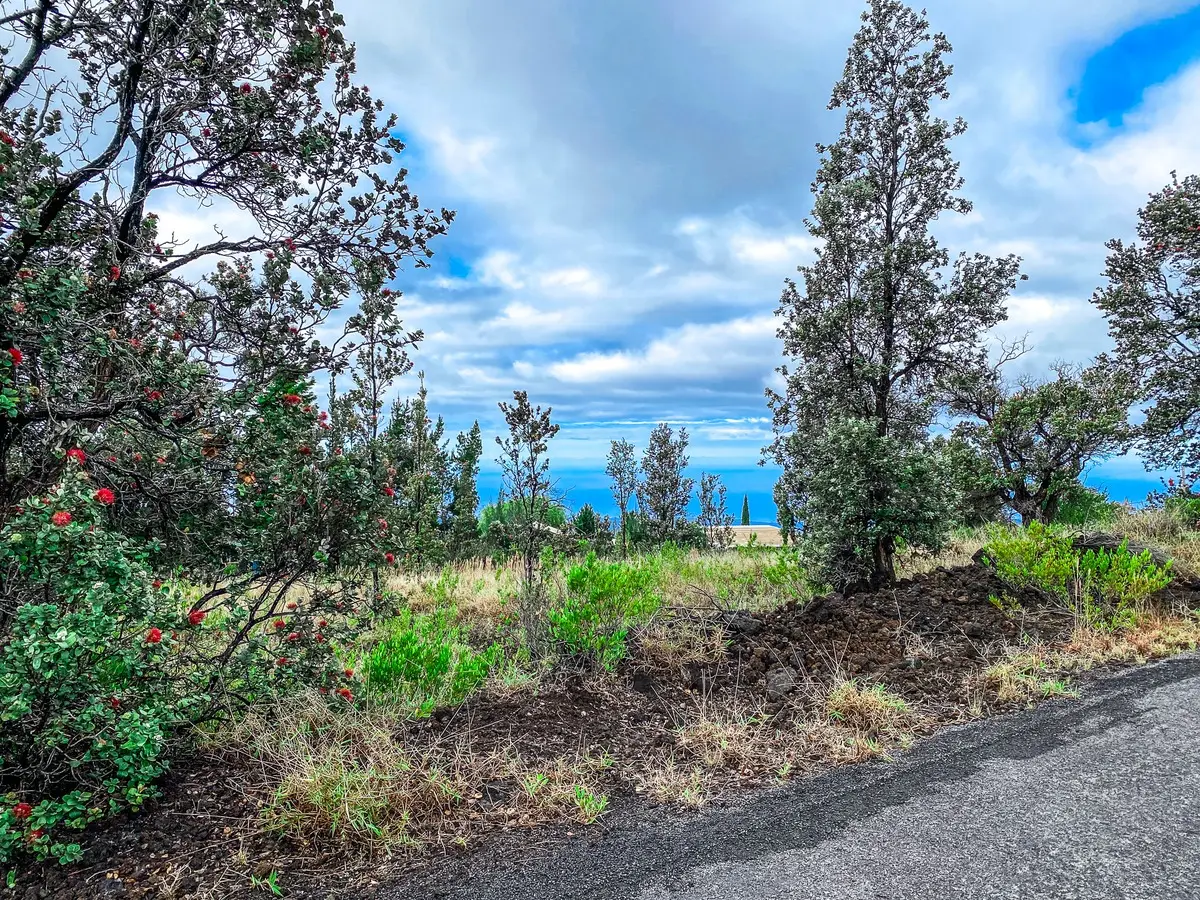 92-2120 Kona Drive, Ocean View, HI 96737 - Image #1