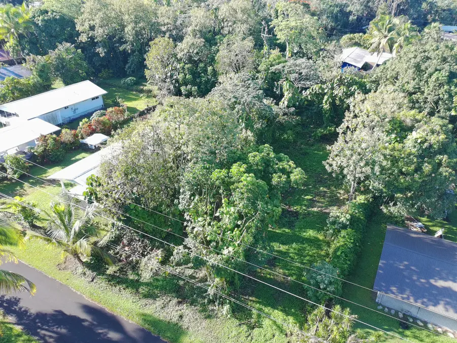 Opae St, Pahoa, HI 96778 - #3
