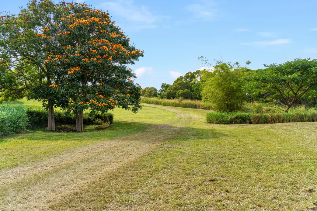 55-442 Hoea Rd, Hawi, HI 96719 - Image #1