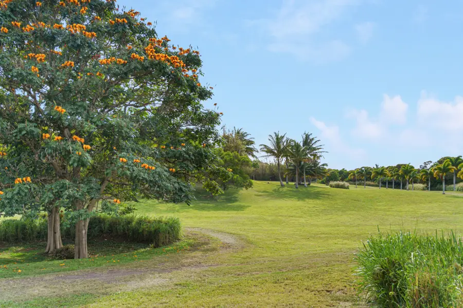 55-442 Hoea Rd, Hawi, HI 96719 - Image #2